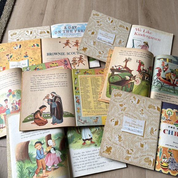 Collection - Multicolor - Picture 15 of 17